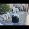 ばーやん