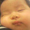 さくら