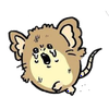ナガノラッタ