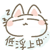 🐇⸒⸒〰︎‪‪❤︎‬ぴょんᒼᑋªⁿ✿  
