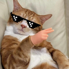 もぴ