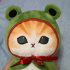 ポコポコ