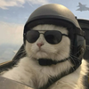 さとる