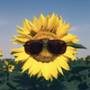 寝落ちのひま🌻ｶﾞﾁｲﾍﾞみく歌みた