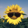 寝てたの内緒のひま🌻泣き虫みくのMG
