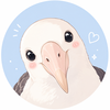 アルバトロス