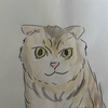 りんごっと⚽️🐈‍⬛🐹🥭🍓🙌🤸✏️🏀🔥