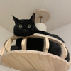 なぎ