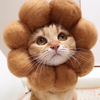 ピノ❤🌸