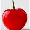 佐藤錦🍒