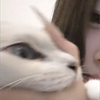 えだまめ
