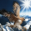 鷹が如く🦅🚬
