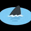 シン
