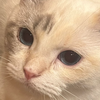 あ