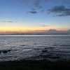紅海(マリン)