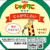 白くん🐨🐉☁️🎤🐈