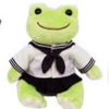 かえるHC🐸(ほぼ🐸ママ)