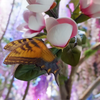 ⚜️ŁichtBłick🦋