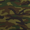army