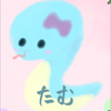 たむ💐🪽