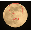 かがじょーじ