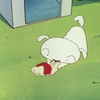 ぽむ