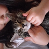 なぁな