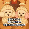 まぁく🩷🐶🐶🩵 #小籠包 🐩誕生月