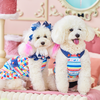 まぁく🩷🐶🐶🩵不定期配信