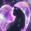 🤗🐈‍⬛ひぃちゃん🐈‍⬛