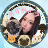 まめちよ🐶🍙#お休み中🐑💤
