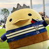 JAM💙💛今治もか