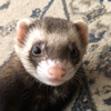 りょーすけ