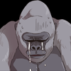 生き別れの🦍を探しています。