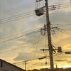 おかゆ