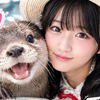 パンダの森 【ノのあ️🩵🐰‎🩷応援中】