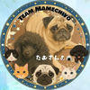 たむさん🐶🍙