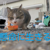 えゆ👩🐱#空き時間チャレ
