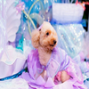 💞rieruby💞広報部配信夜８時