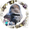 シャバーニ