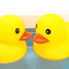 あひる