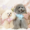 　ミケシェリ🌹🐩
