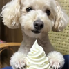 朝のたくみん(女)🐶💖👩