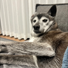 こーへー