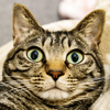 🐱まみまる🐱🍚⟡.*
