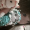 太郎ちゃん