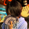 うえきゅん🧸🩷