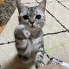 もち田もち郎