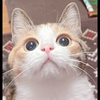 モンチ