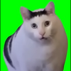 まつ